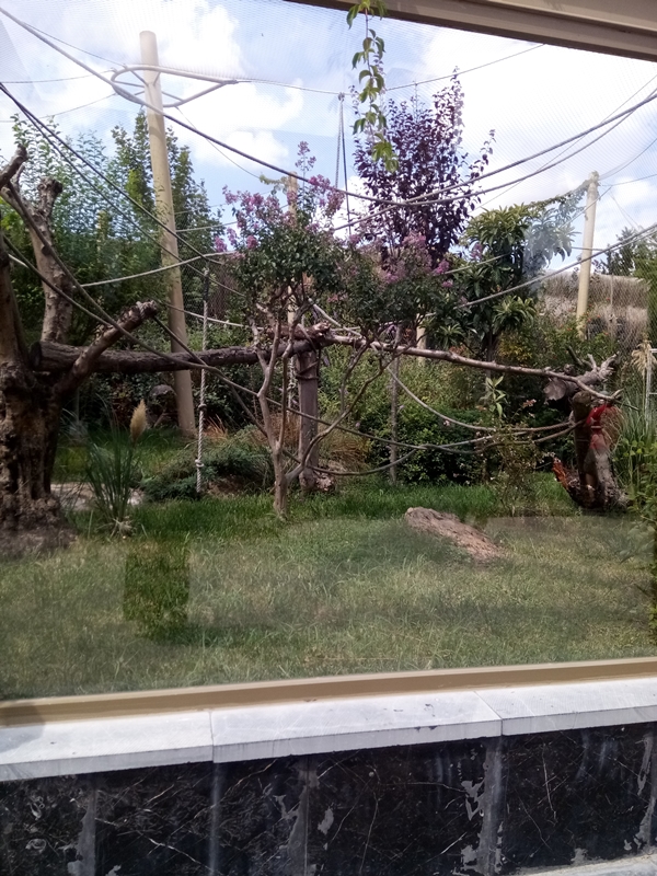 Foto - Binlerce hayvana ev sahipliği yapıyor: Faruk Yalçın Hayvanat Bahçesi ve Botanik Parkı