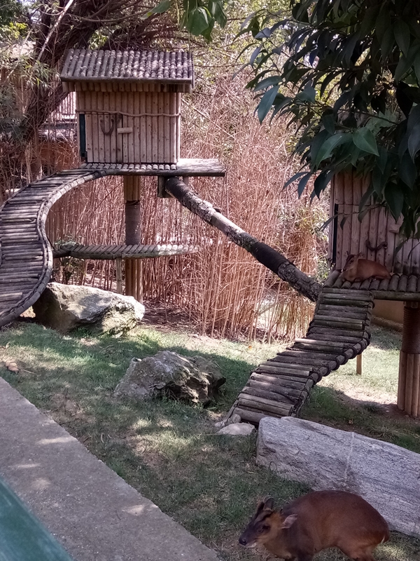 Foto - Binlerce hayvana ev sahipliği yapıyor: Faruk Yalçın Hayvanat Bahçesi ve Botanik Parkı