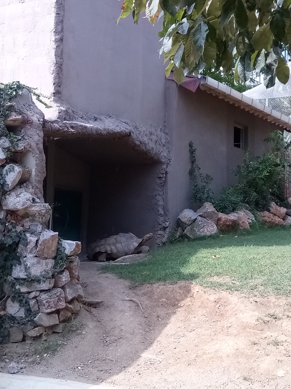 Foto - Binlerce hayvana ev sahipliği yapıyor: Faruk Yalçın Hayvanat Bahçesi ve Botanik Parkı