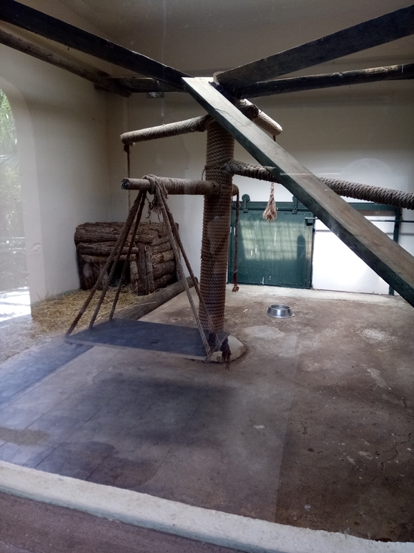 Foto - Binlerce hayvana ev sahipliği yapıyor: Faruk Yalçın Hayvanat Bahçesi ve Botanik Parkı