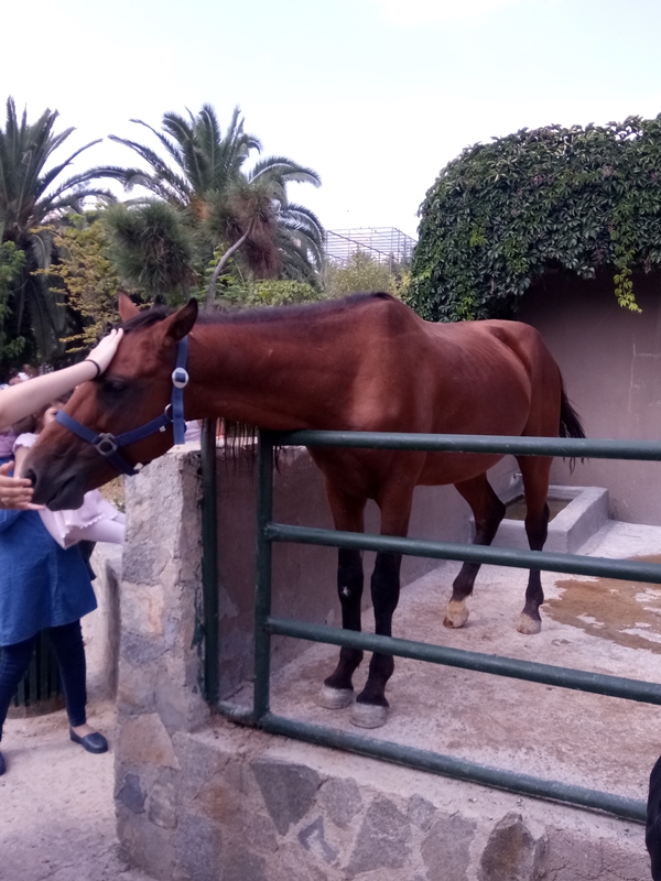 Foto - Binlerce hayvana ev sahipliği yapıyor: Faruk Yalçın Hayvanat Bahçesi ve Botanik Parkı