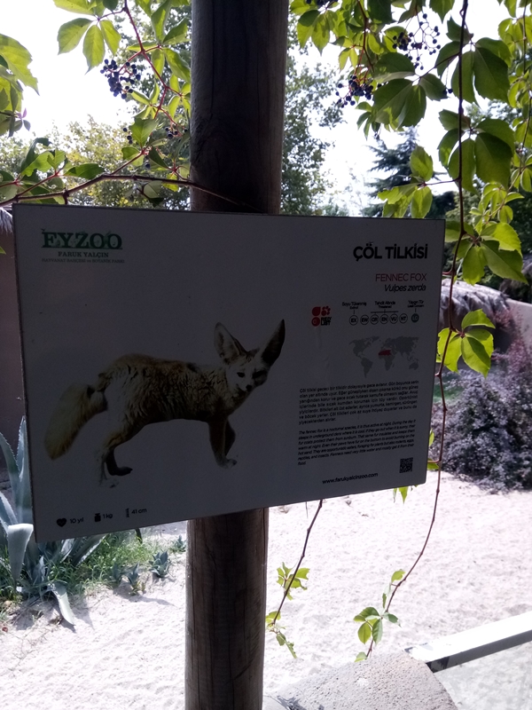 Foto - Binlerce hayvana ev sahipliği yapıyor: Faruk Yalçın Hayvanat Bahçesi ve Botanik Parkı