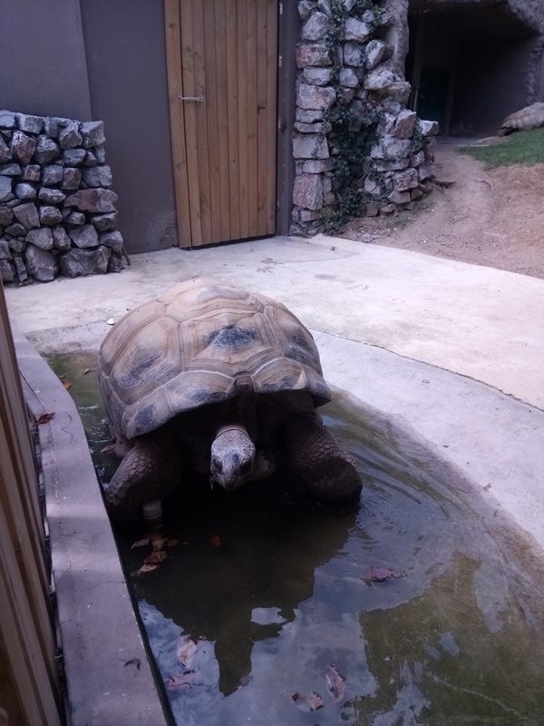Foto - Binlerce hayvana ev sahipliği yapıyor: Faruk Yalçın Hayvanat Bahçesi ve Botanik Parkı