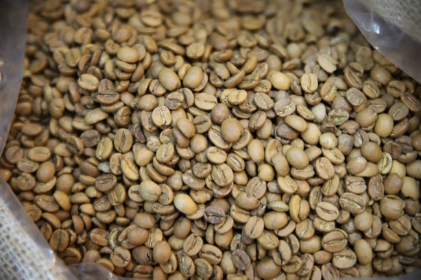 Foto - Binlerce kişinin vazgeçilmezi! Menengiç kahvesinin faydalarını say say bitmiyor