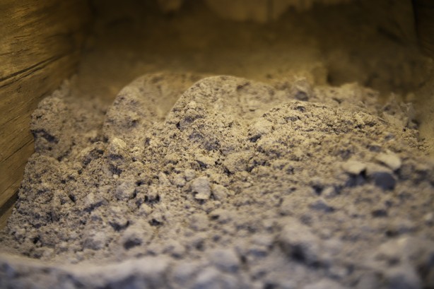 Foto - Binlerce kişinin vazgeçilmezi! Menengiç kahvesinin faydalarını say say bitmiyor