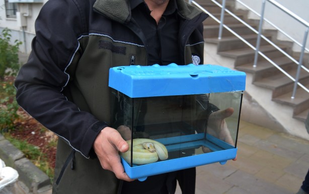 Foto - Binlerce liraya satacaktı... Suçüstü yakalandı!