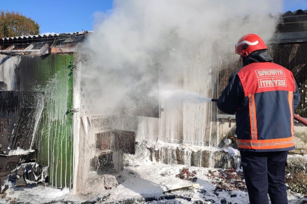 Foto - Binlerce tavuk telef olmaktan son anda kurtarıldı