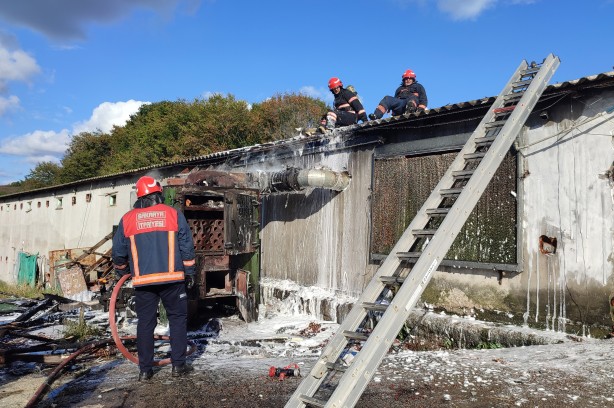 Foto - Binlerce tavuk telef olmaktan son anda kurtarıldı