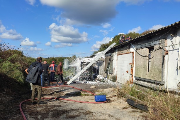 Foto - Binlerce tavuk telef olmaktan son anda kurtarıldı