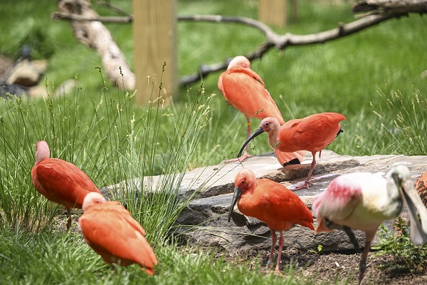 Foto - Binlerce türe ev sahipliği yapıyor