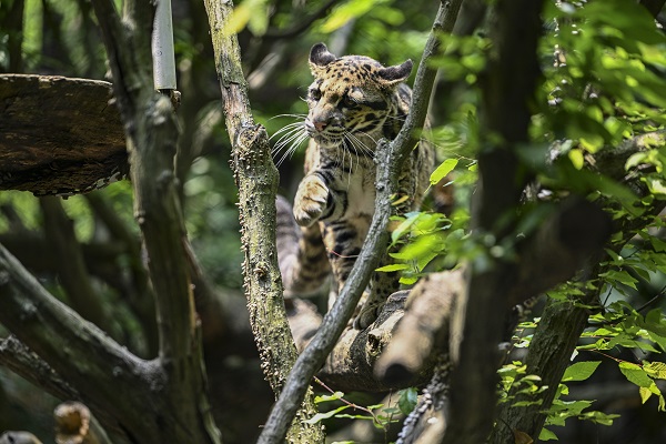Foto - Binlerce türe ev sahipliği yapıyor