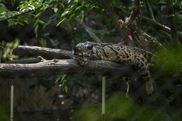 Foto - Binlerce türe ev sahipliği yapıyor
