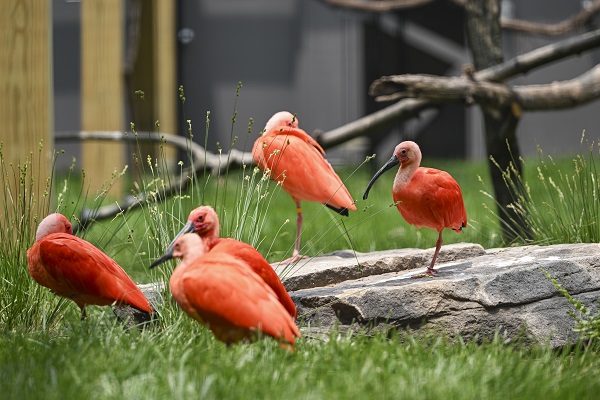 Foto - Binlerce türe ev sahipliği yapıyor