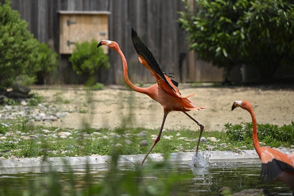 Foto - Binlerce türe ev sahipliği yapıyor