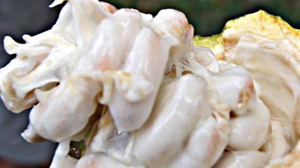 Binlerce yıl önce ilaç olarak kullanıldı 1 çay kaşığı tüketmek yeterli