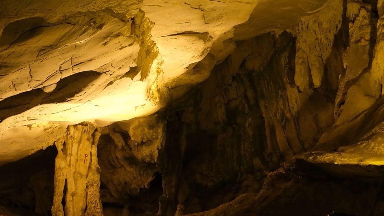 Binlerce yıllık doğal miras için seferberlik! Türkiye’nin asırlık mirasına özel koruma
