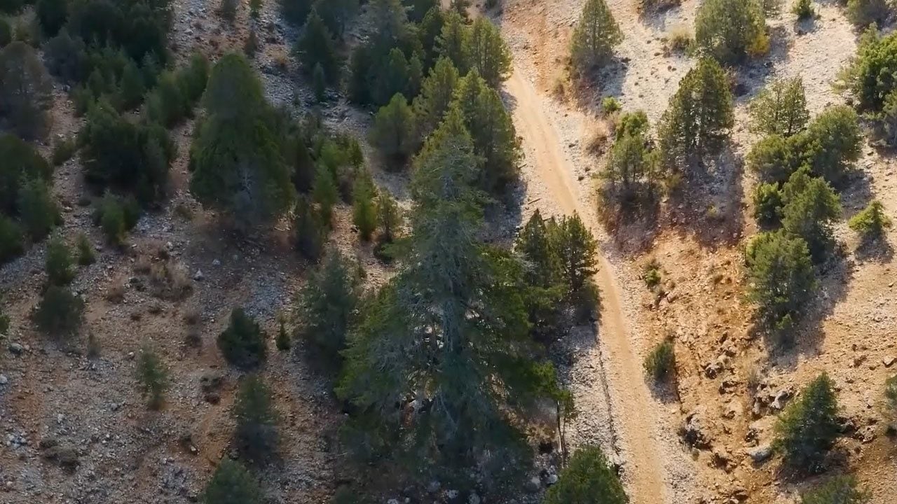 Foto - Binlerce yıllık doğal miras için seferberlik! Türkiye’nin asırlık mirasına özel koruma