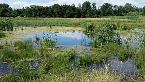Foto - Binlerce yıllık gizem çözüldü! Bütün dünya şaşkın! Tamı tamına 2 bin ceset var