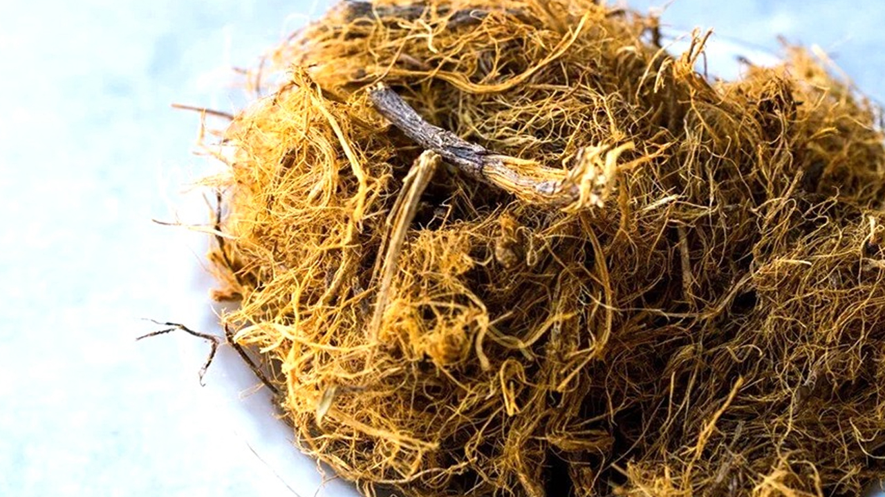  Binlerce yıllık şifa kaynağı: Kilo vermeye yardımcı olduğu kanıtlandı! Yeni faydası daha bulundu!