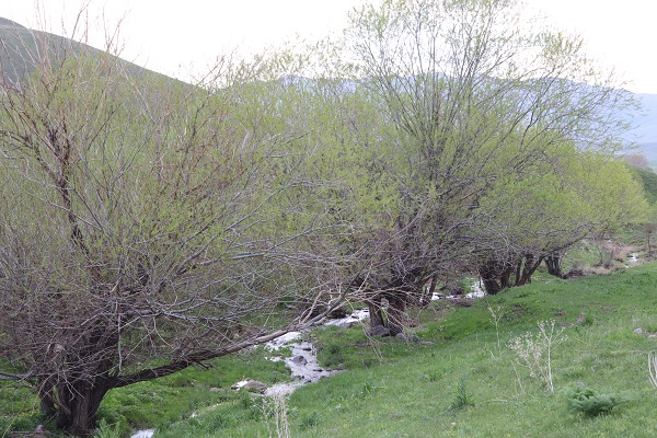 Foto - Bintosun Şelalesi keşfedilmeyi bekliyor