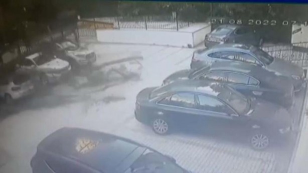 Foto - Bir ağaç 51 daireyi icralık yaptı!