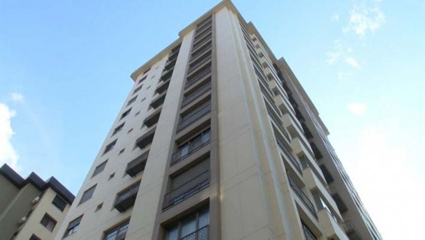 Foto - Bir ağaç 51 daireyi icralık yaptı!