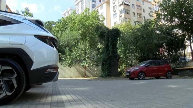 Foto - Bir ağaç 51 daireyi icralık yaptı!