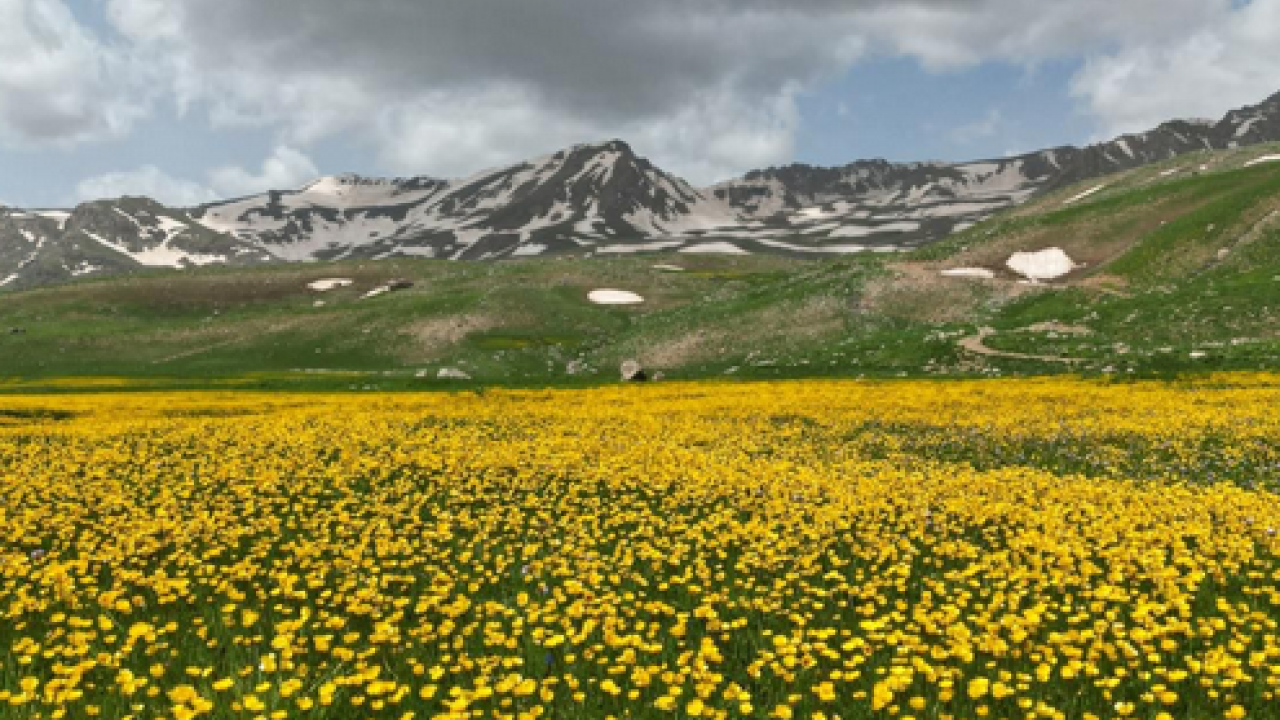 Foto - Bir Anadolu Şenliği Hakkari coşkuyla başladı: Kültür ve Turizm Bakanlığı’nın katkılarıyla…