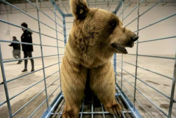 Foto - Bir anda geriye döndü! Korku dolu saniyeler