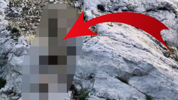 Bir anda gölün içinden çıkıp ormana doğru kaçtılar! Şaşkın bakışlar arasında kaybolup gittiler