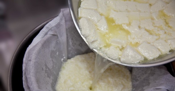 Foto - Bir bardak peynir suyu içmenin muhteşem faydası