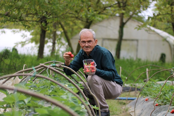 Foto - Bir başarı hikayesi | Emekli olup başladı şimdi yok satıyor