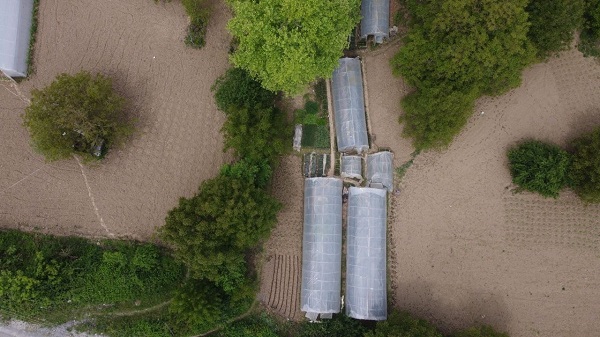 Foto - Bir başarı hikayesi | Emekli olup başladı şimdi yok satıyor