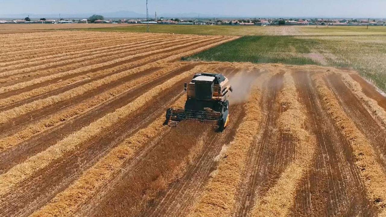 Foto - Bir bu eksikti! Türkiye'nin tarım ve hayvancılık devi iflas etti