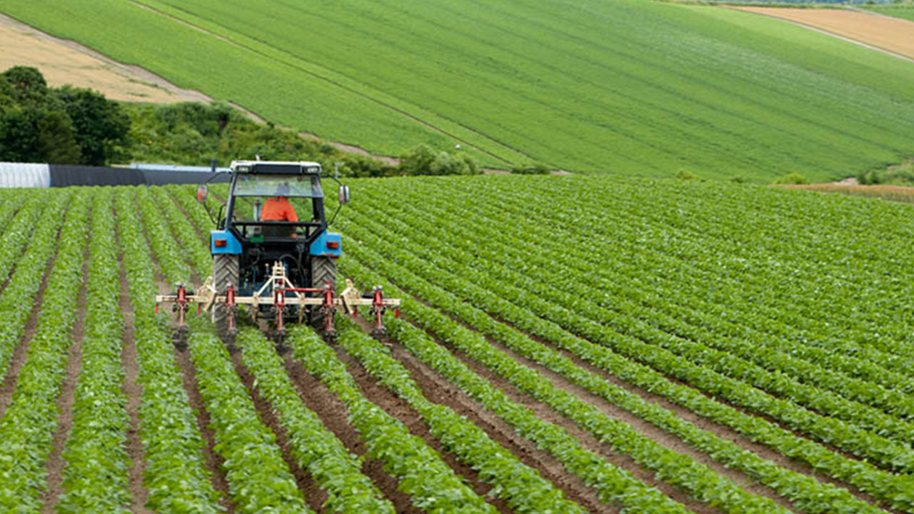 Foto - Bir bu eksikti! Türkiye'nin tarım ve hayvancılık devi iflas etti