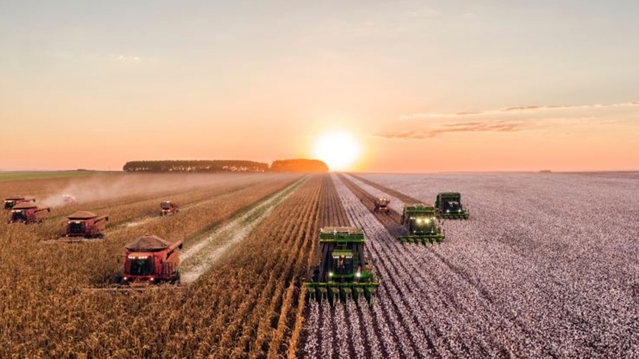 Bir bu eksikti! Türkiye'nin tarım ve hayvancılık devi iflas etti