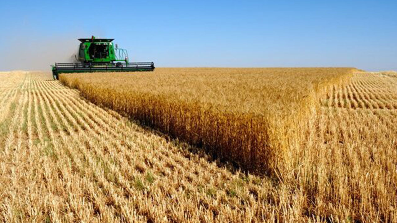 Foto - Bir bu eksikti! Türkiye'nin tarım ve hayvancılık devi iflas etti