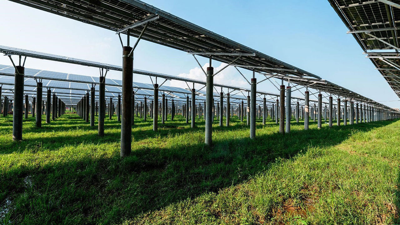 Foto - Bir bu eksikti! Türkiye'nin tarım ve hayvancılık devi iflas etti