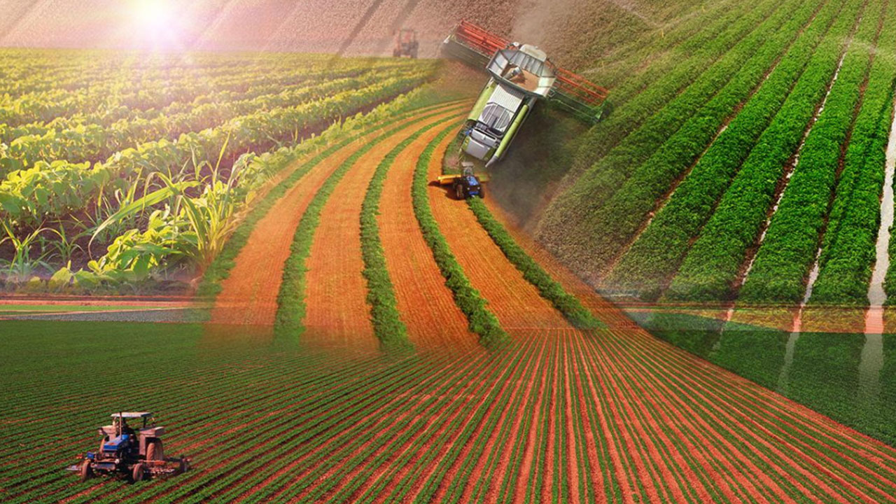 Foto - Bir bu eksikti! Türkiye'nin tarım ve hayvancılık devi iflas etti