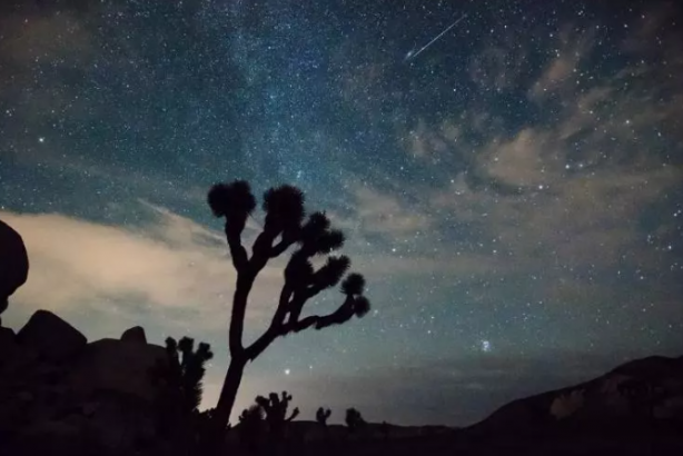 Foto - Bir bu eksikti! Üç eski ABD başkanının saç teli uzaya gidiyor!