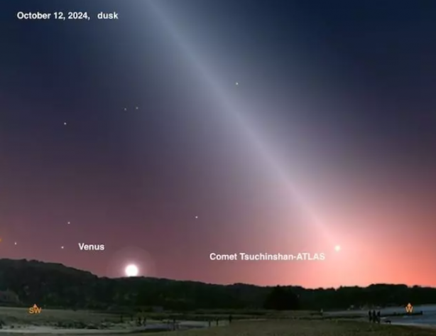 Foto - Bir bu eksikti! Üç eski ABD başkanının saç teli uzaya gidiyor!