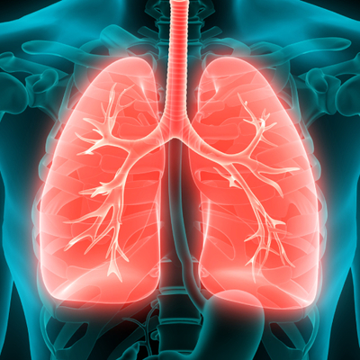 Foto - Bir bu eksikti, uzmanlar uyardı! Gazlı ocak kullananlar dikkat…