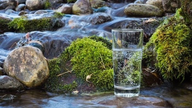 Foto - Bir bu eksikti! Yemekten sonra maden suyu içenler artık iki kere düşünecek! Öyle bir şeye sebep oluyormuş ki...