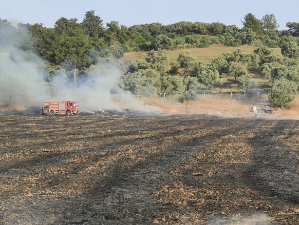 Foto - Bir buğday tarlası yangını da Aydın'da!