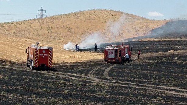 Foto - Bir buğday yangını daha! Tam 100 ton kül oldu...