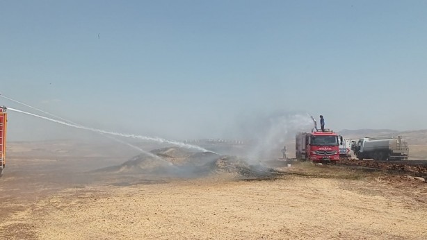 Foto - Bir buğday yangını daha! Tam 100 ton kül oldu...