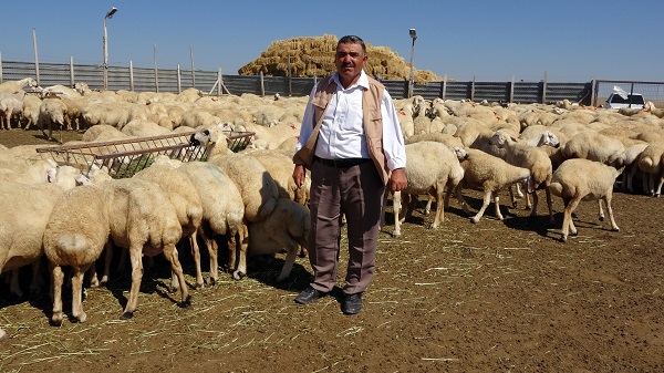 Foto - Bir çadırla hayvan sayısını ikiye katladı