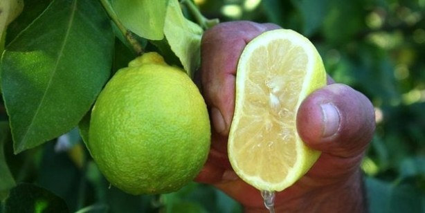 Foto - Bir çok hastalığın çaresi limondaymış ilk kez özelliğini açıkladılar: Hastalıklara bile çare! Bir kaşığı yetiyor