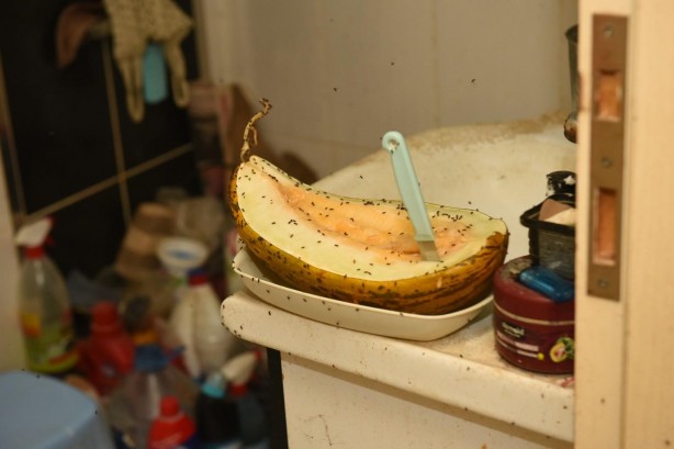 Foto - Bir çöp ev vakası! Kokudan rahatsız olan komşular ele verdi