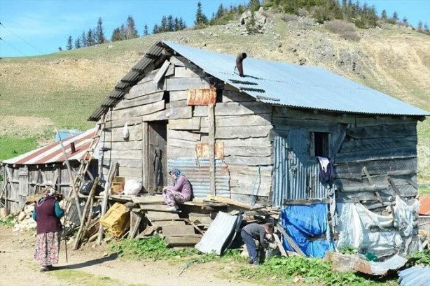 Foto - "Bir çuval altına değişmem" İşte o yayladan muazzam görüntüler